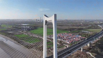 9.gif