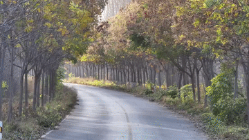 10.gif