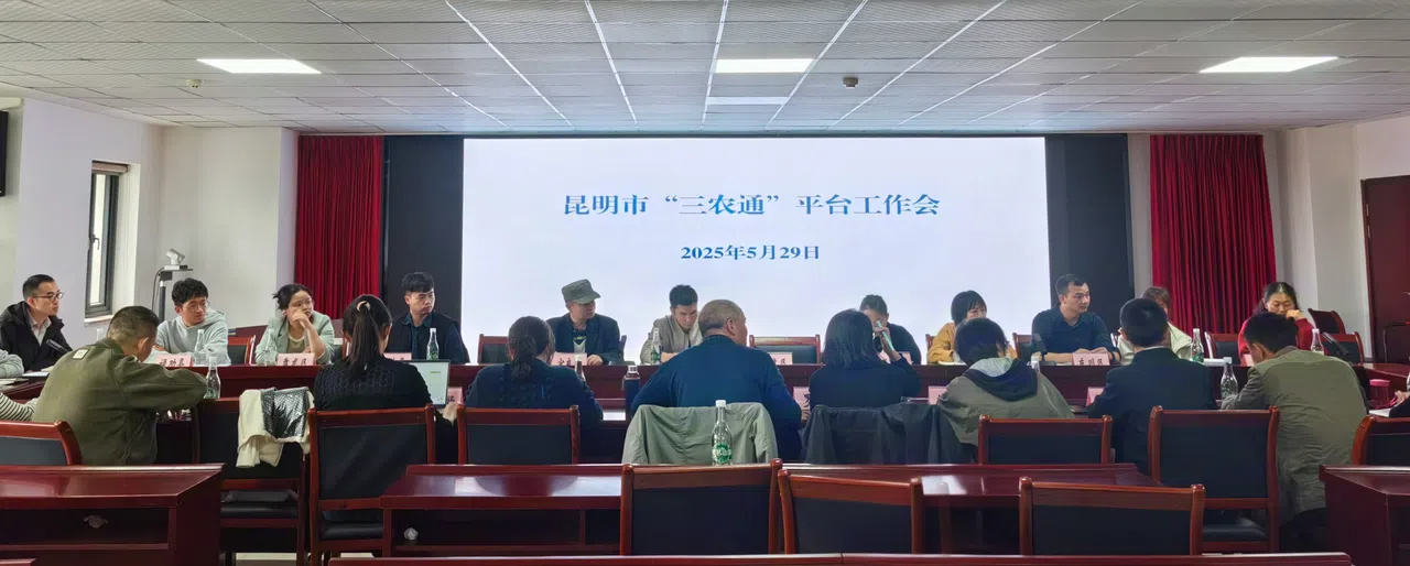 三农通平台会议1.jpg