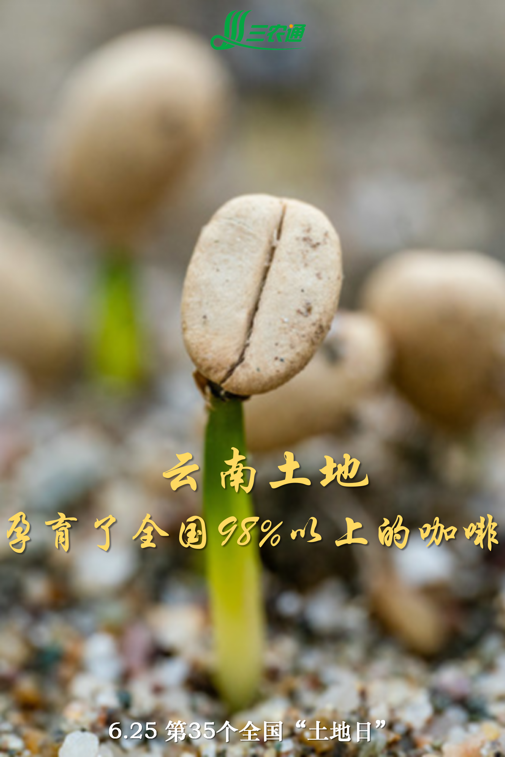 1750843388274099322.png