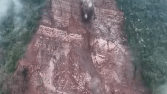 4.gif