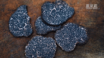 1762999175969063120.gif 11月11日(6).gif