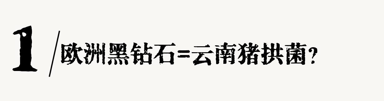 1762999362918022846.jpg 1762999362918022846.jpg