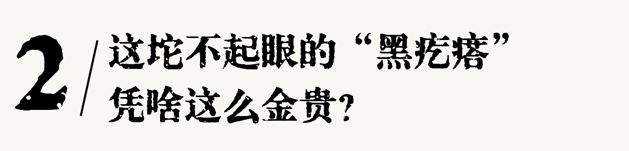 1762999436193044906.jpg 1762999436193044906.jpg