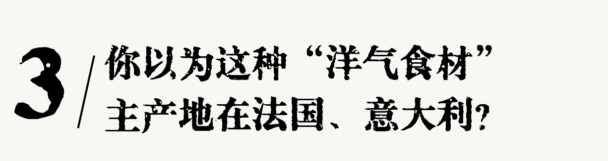 1762999513207087178.jpg 1762999513207087178.jpg