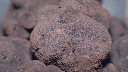 1762999538731049114.gif 11月11日(2).gif