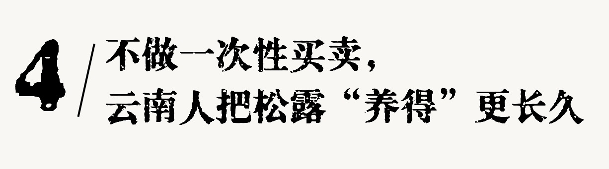 1762999579158002692.jpg 1762999579158002692.jpg