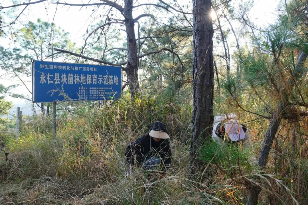 1762999600746094267.png 1762999600746094267.png