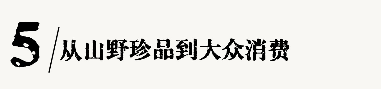 1762999668872012050.jpg 1762999668872012050.jpg