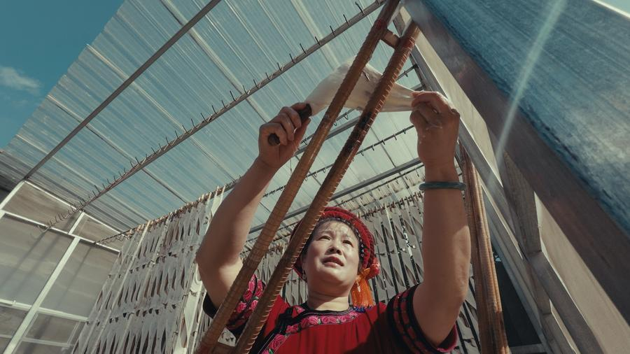 1764060493215042941.png 1764060493215042941.png