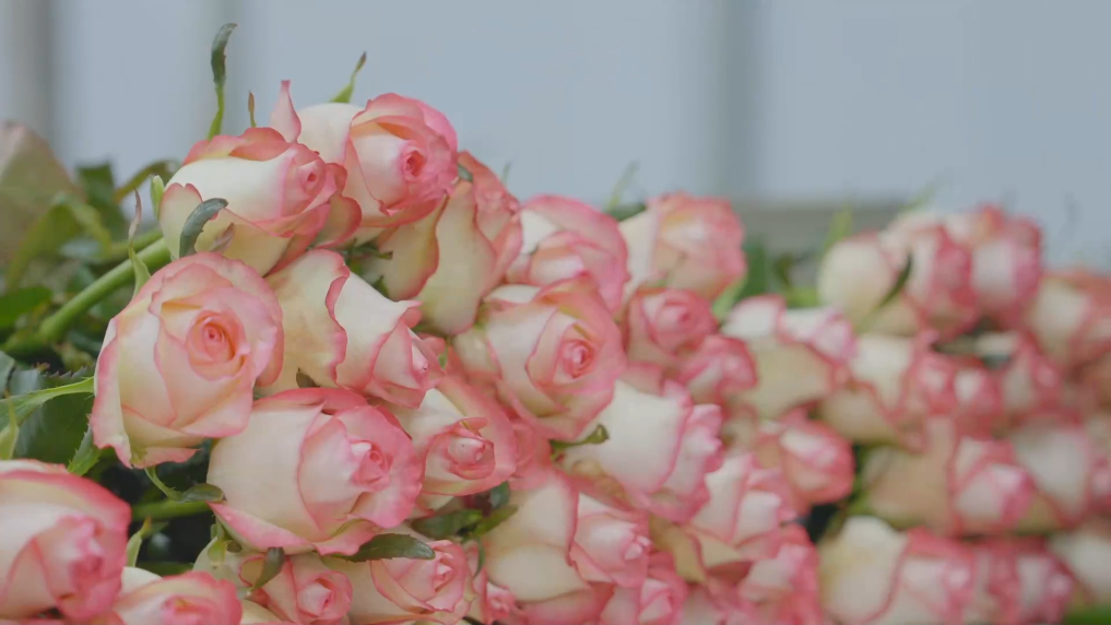 1765266785037006234.png 2.png