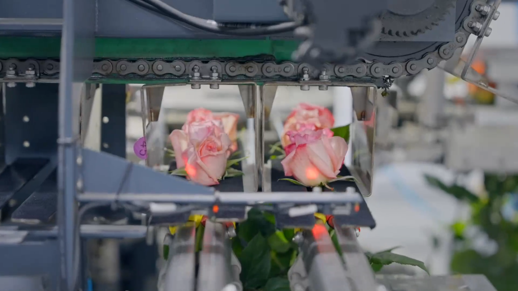 1765266800486025083.png 3.png