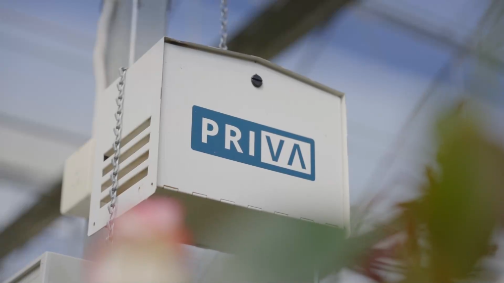 1765266815378043485.png 4.png