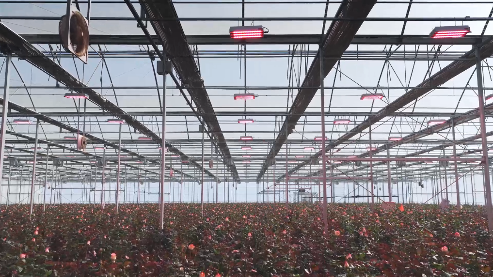 1765266831718002279.png 5.png