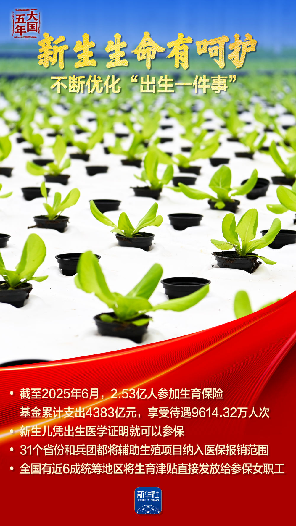 1765939967358087359.jpg 1765939967358087359.jpg