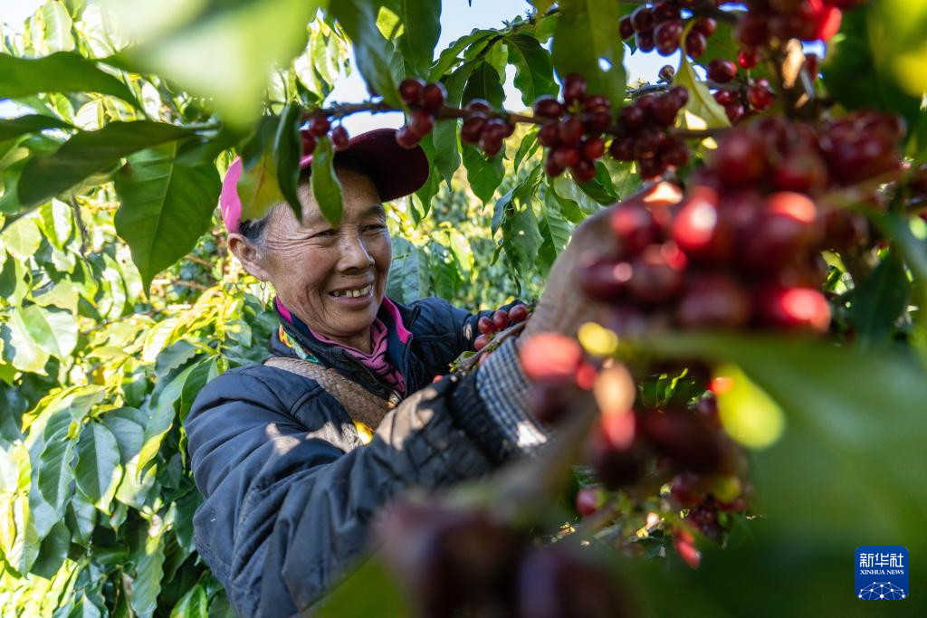 1769392401527002685.jpg 1769392401527002685.jpg