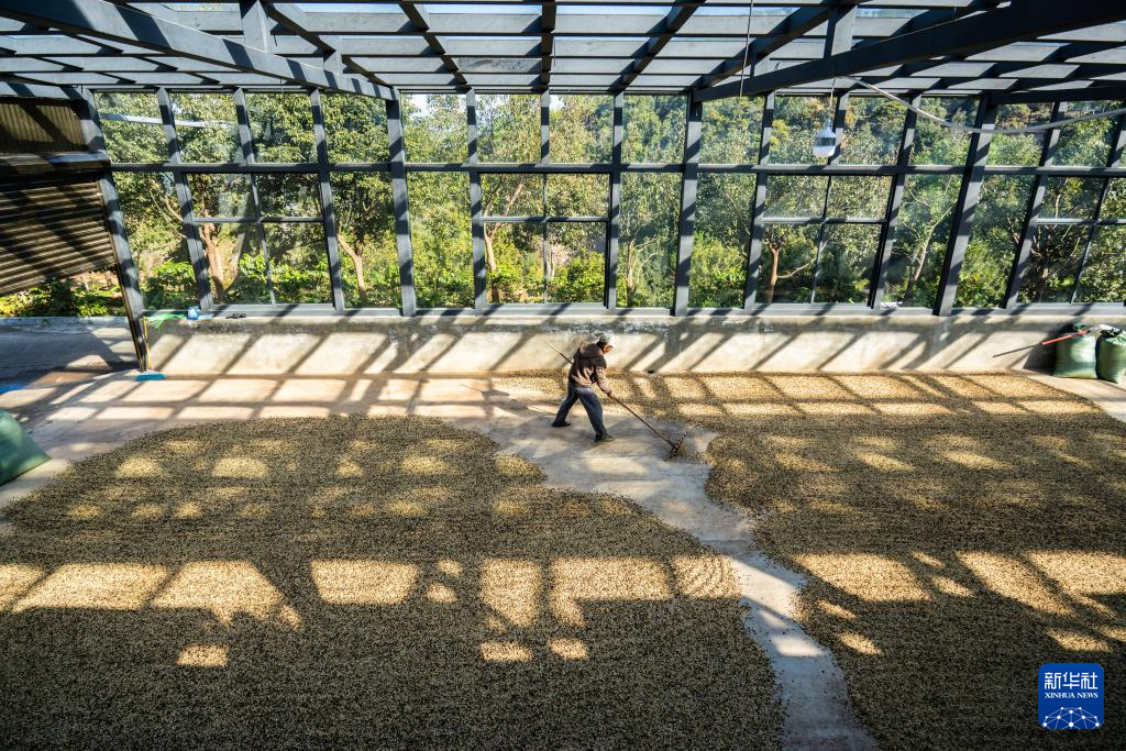 1769392481192020951.jpg 1769392481192020951.jpg