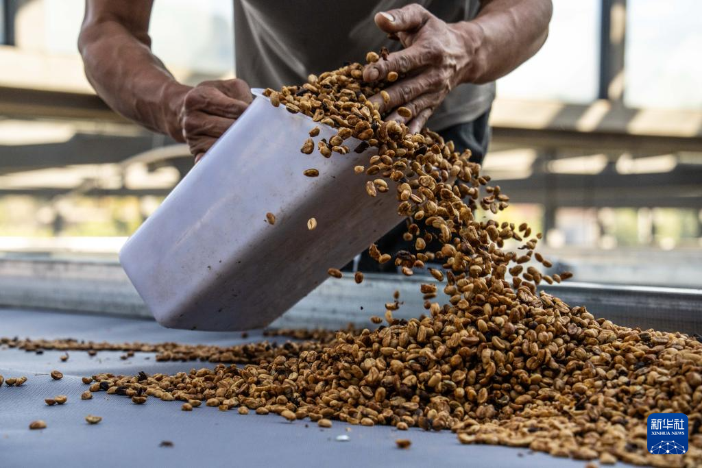 1769392510580068101.jpg 1769392510580068101.jpg