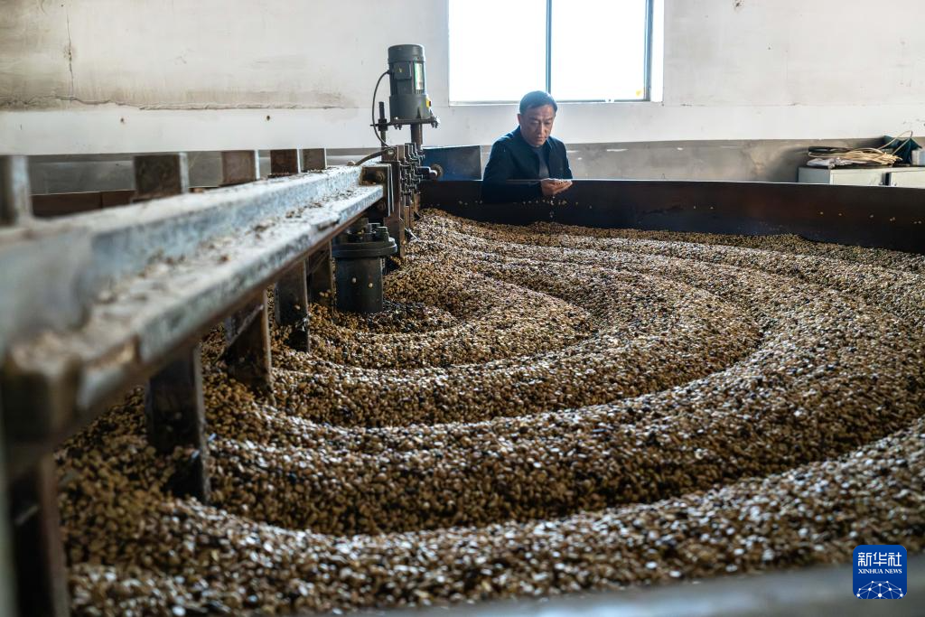 1769392546297076236.jpg 1769392546297076236.jpg