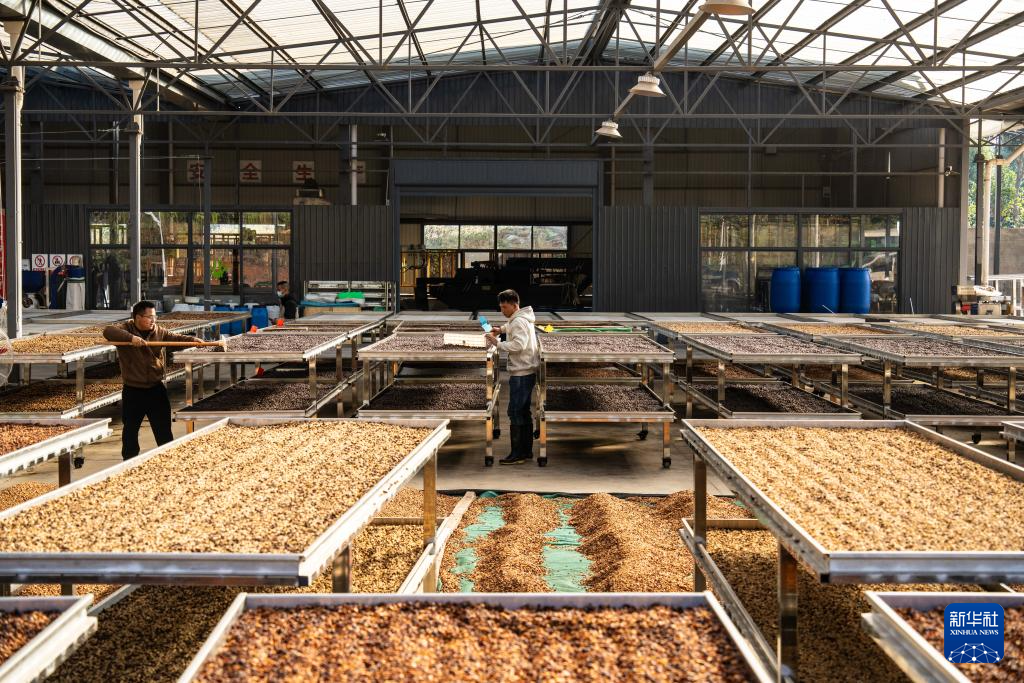 1769392612933005200.jpg 1769392612933005200.jpg