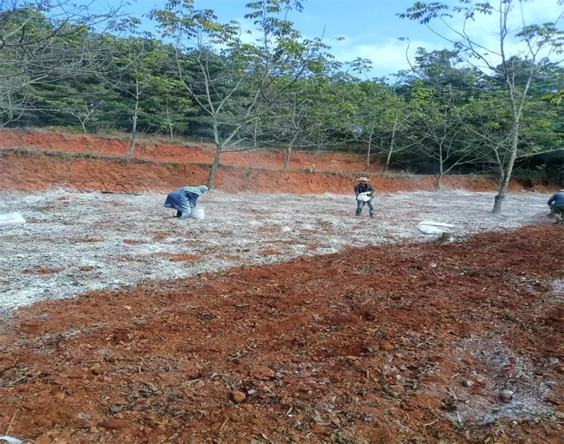 1773627533074011846.jpg 20260313110144705.jpg