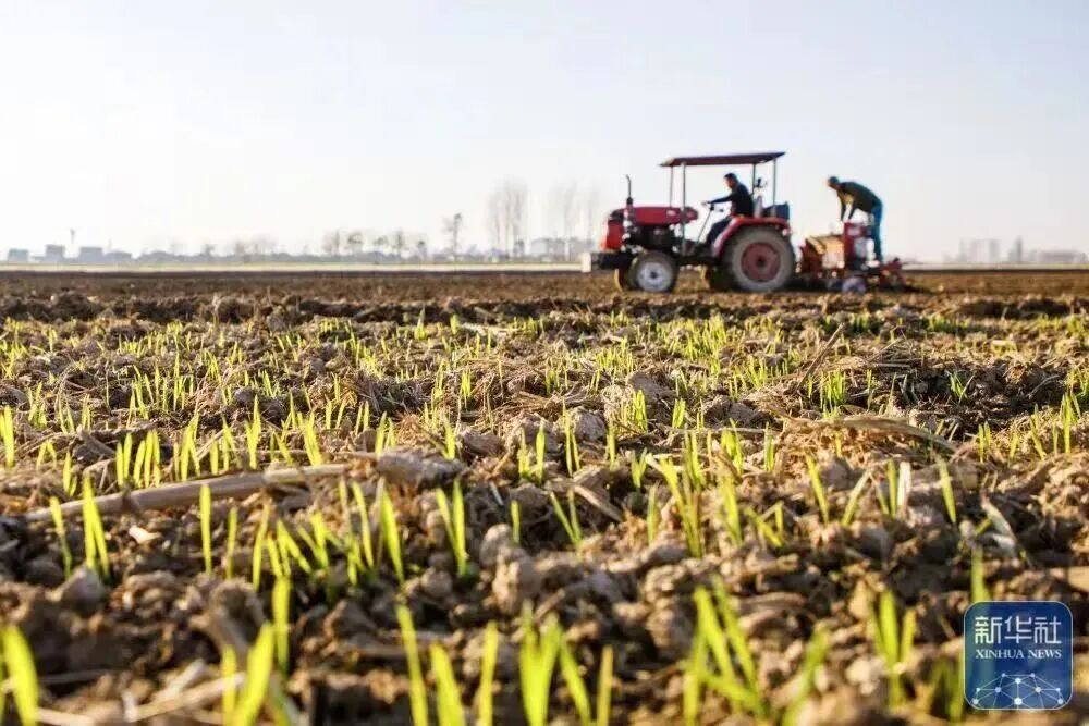 1774859133499079858.jpg 1774859133499079858.jpg