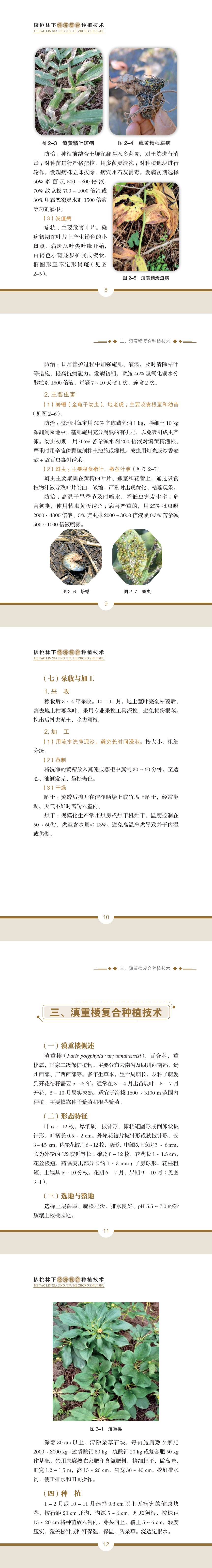 a4.png
