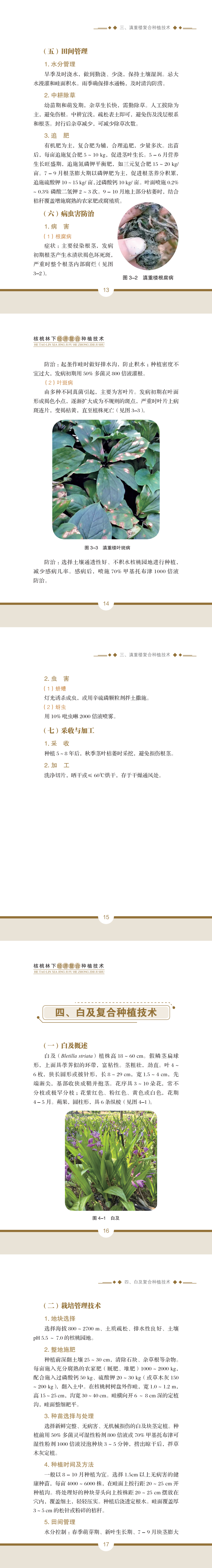 a5.png