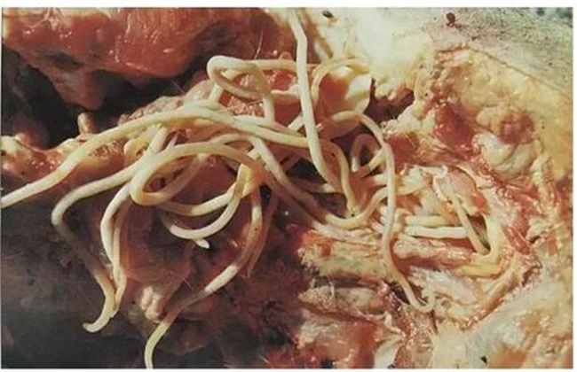 996ACD99-C52A-4944-AB29-AEC91CCAC6CC