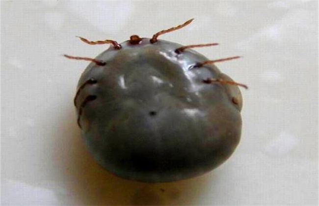 1CBEA9BD-60FF-4D50-82DD-9D08C3F8CDE6