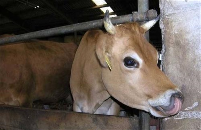 014B215A-5E74-4CFF-8907-76905041F47F