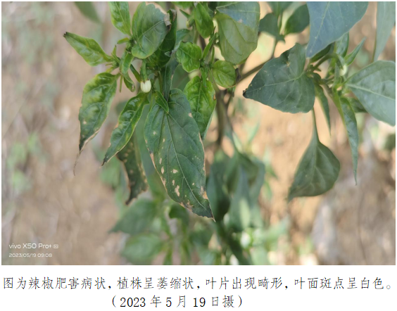 图.png